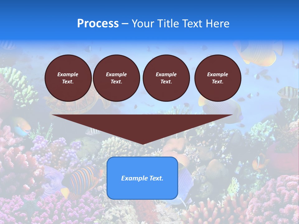 Landscape Hardcoral Dive PowerPoint Template