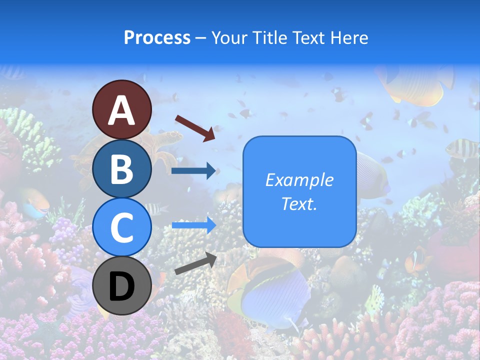 Landscape Hardcoral Dive PowerPoint Template