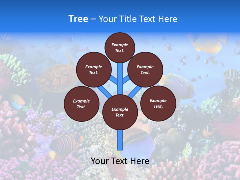 Landscape Hardcoral Dive PowerPoint Template