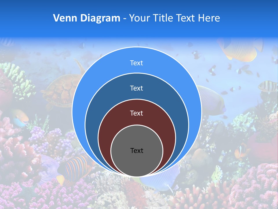 Landscape Hardcoral Dive PowerPoint Template