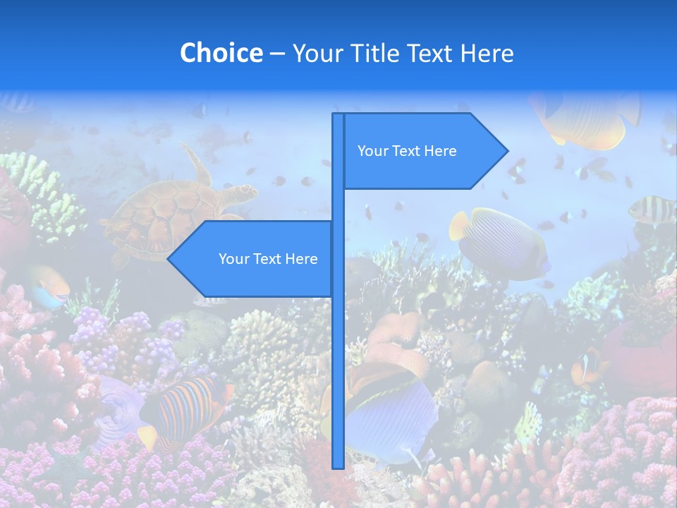 Landscape Hardcoral Dive PowerPoint Template