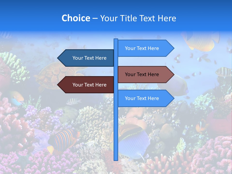 Landscape Hardcoral Dive PowerPoint Template
