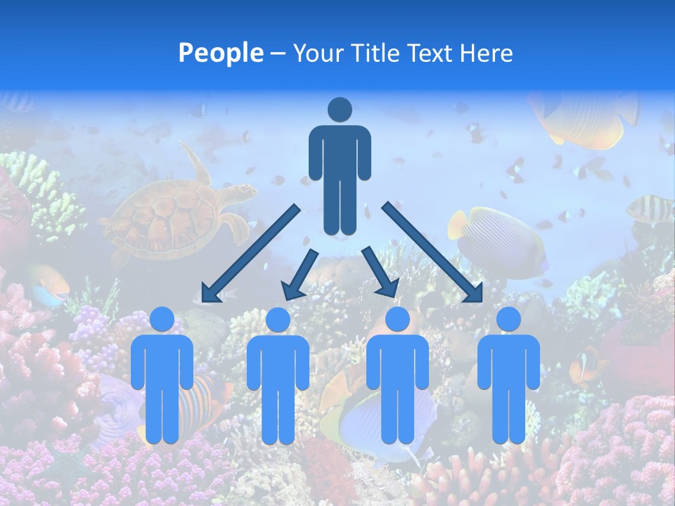 Landscape Hardcoral Dive PowerPoint Template