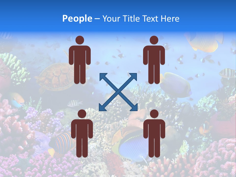 Landscape Hardcoral Dive PowerPoint Template