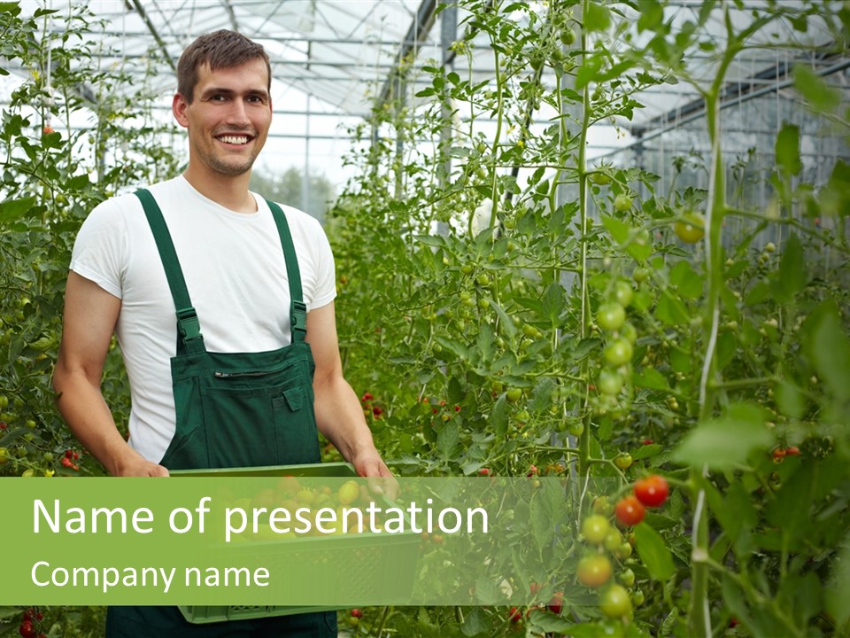 Man Sell Vegetable PowerPoint Template