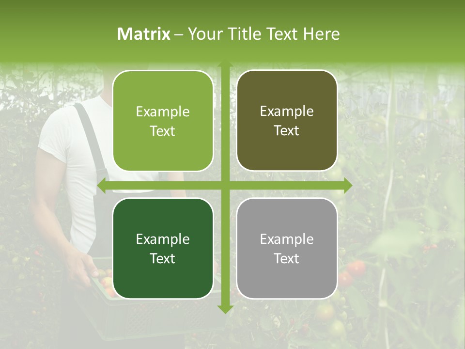 Man Sell Vegetable PowerPoint Template