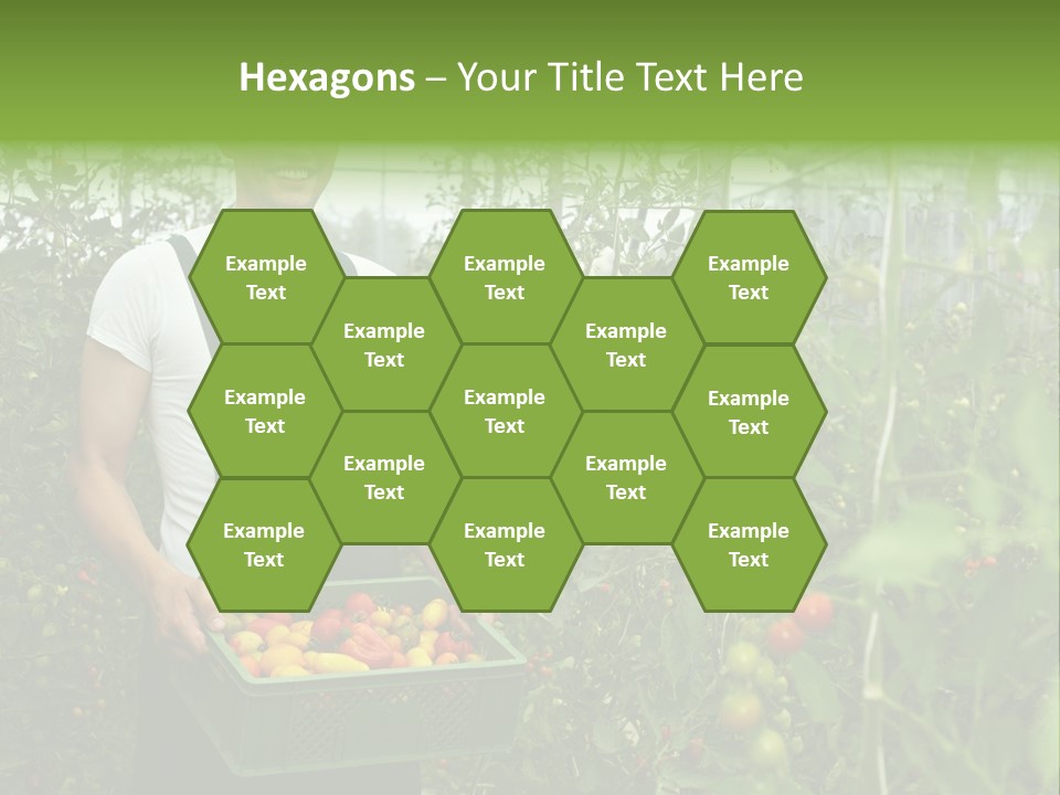 Man Sell Vegetable PowerPoint Template