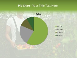 Man Sell Vegetable PowerPoint Template