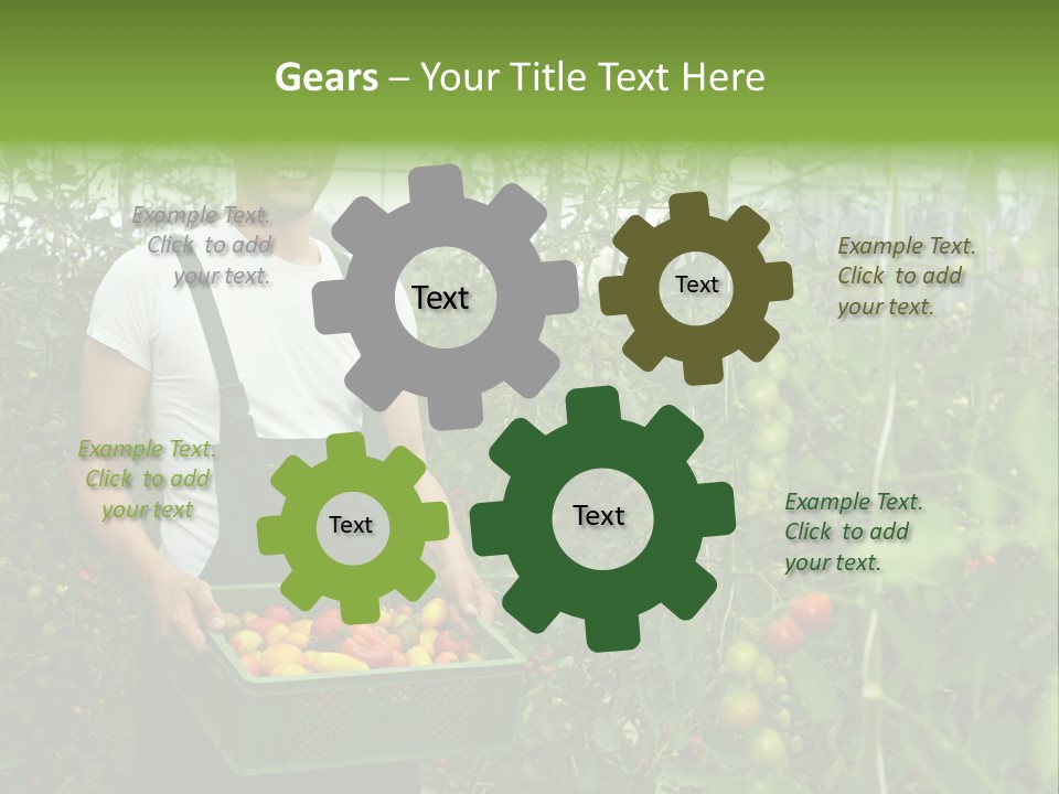 Man Sell Vegetable PowerPoint Template