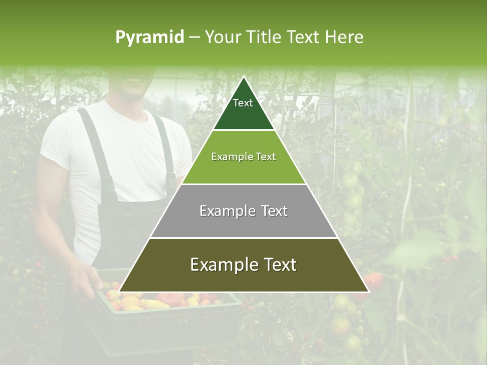 Man Sell Vegetable PowerPoint Template