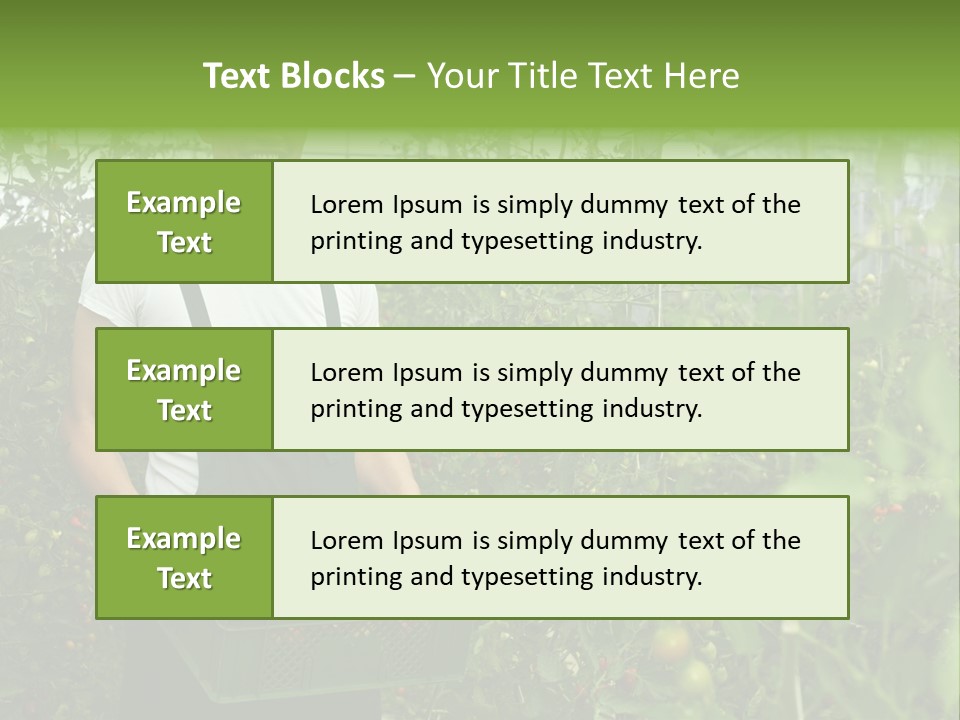 Man Sell Vegetable PowerPoint Template