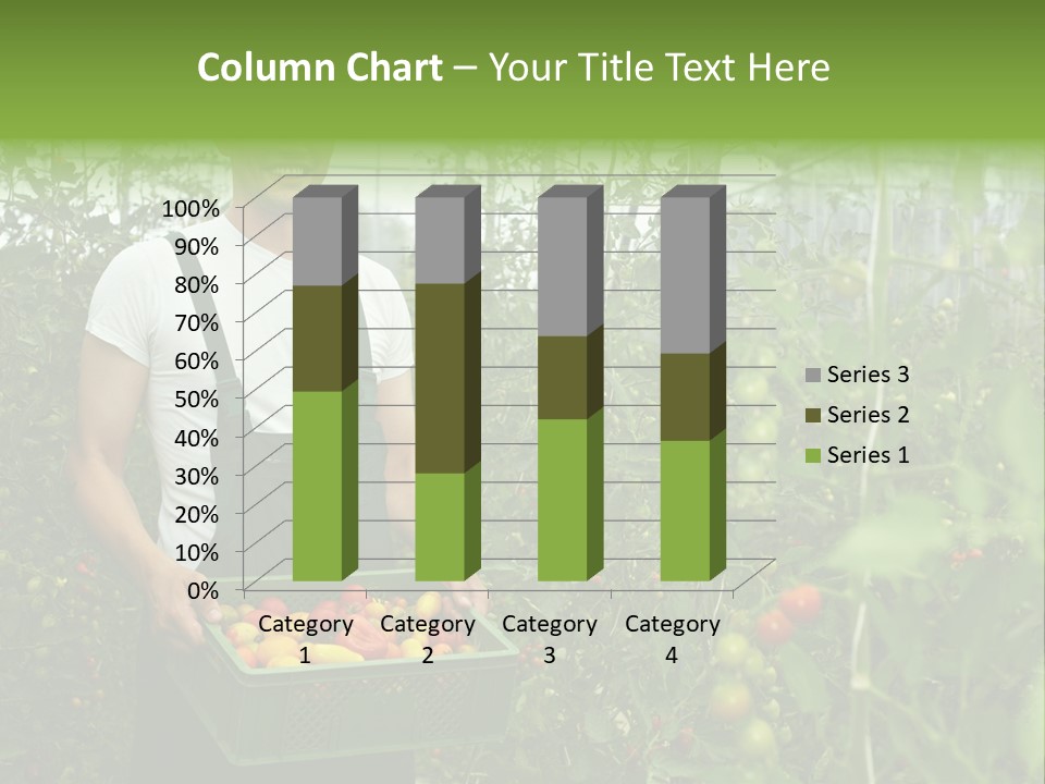 Man Sell Vegetable PowerPoint Template