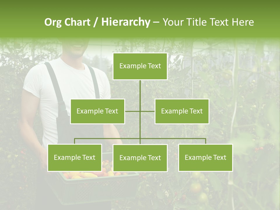 Man Sell Vegetable PowerPoint Template