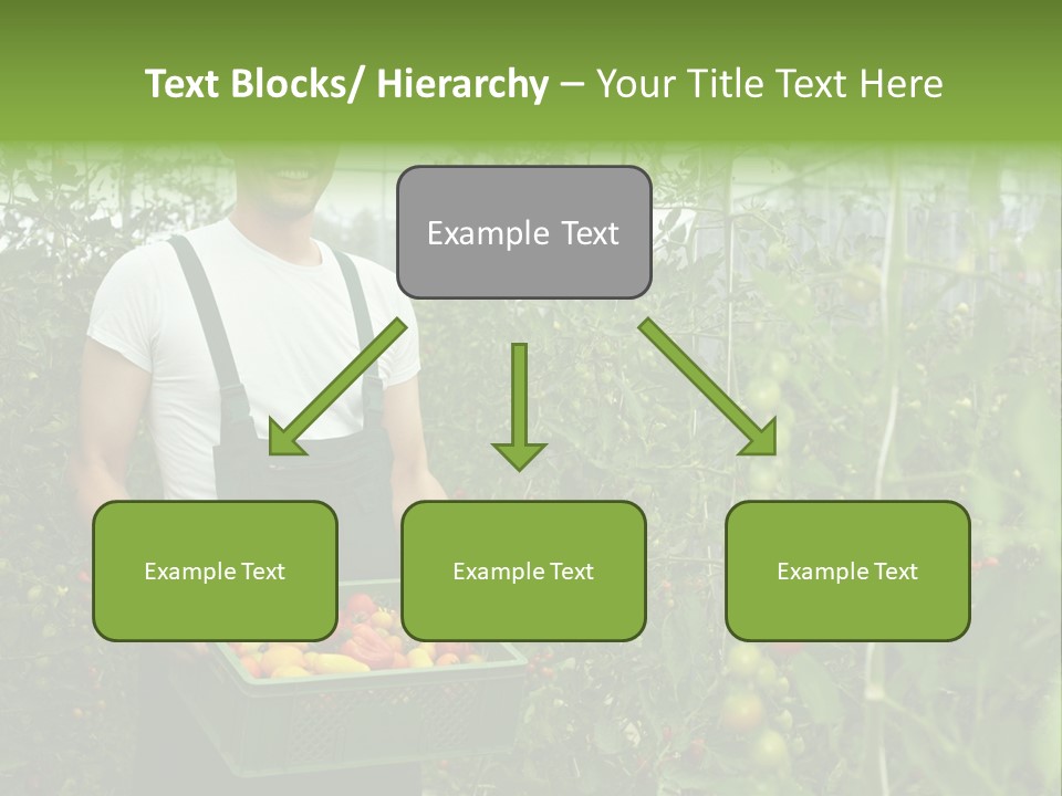 Man Sell Vegetable PowerPoint Template
