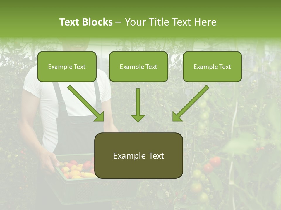 Man Sell Vegetable PowerPoint Template
