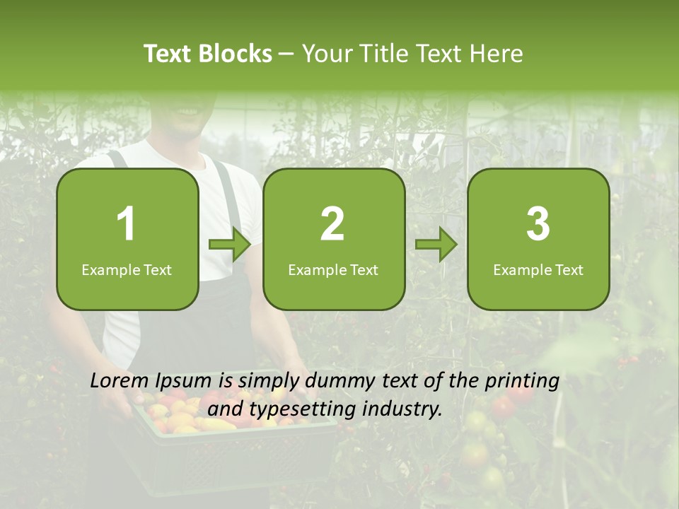Man Sell Vegetable PowerPoint Template