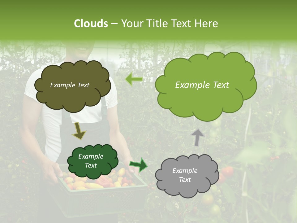 Man Sell Vegetable PowerPoint Template