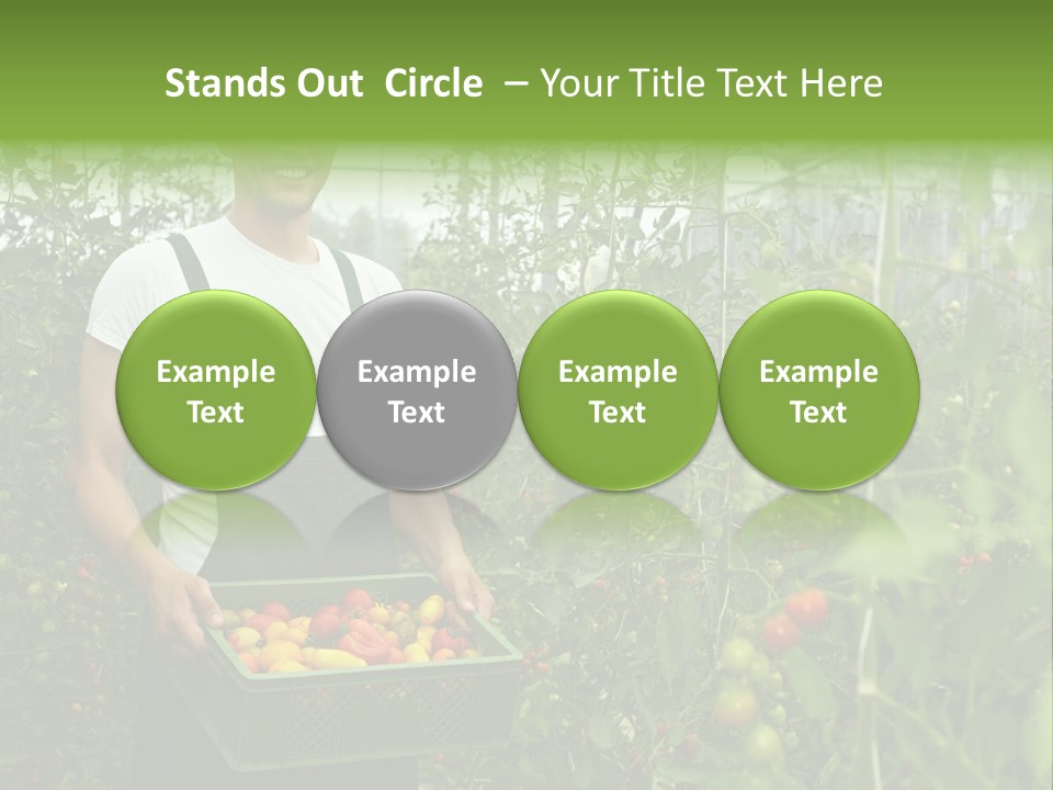 Man Sell Vegetable PowerPoint Template