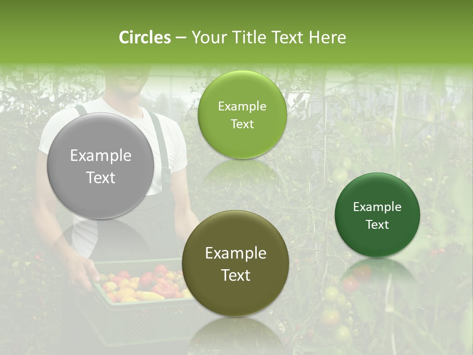 Man Sell Vegetable PowerPoint Template