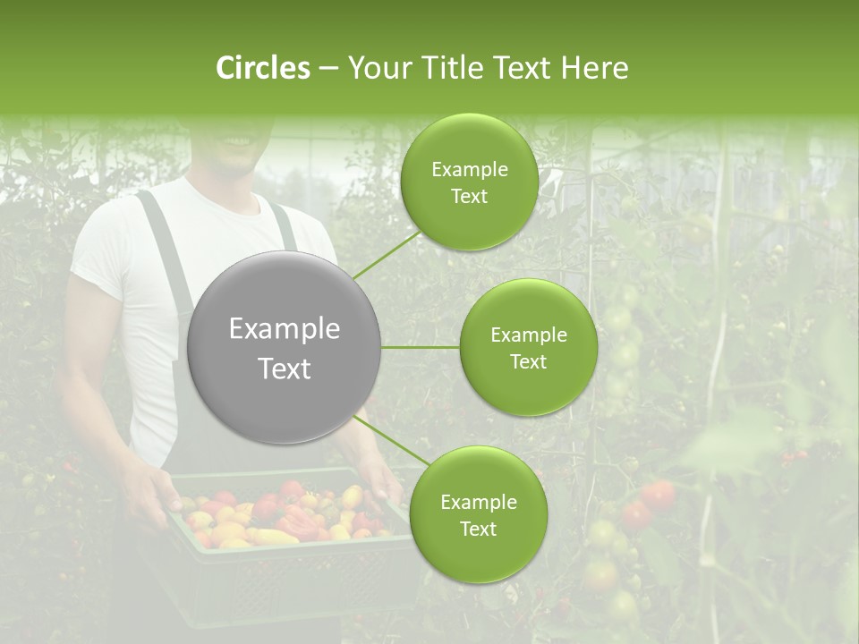 Man Sell Vegetable PowerPoint Template