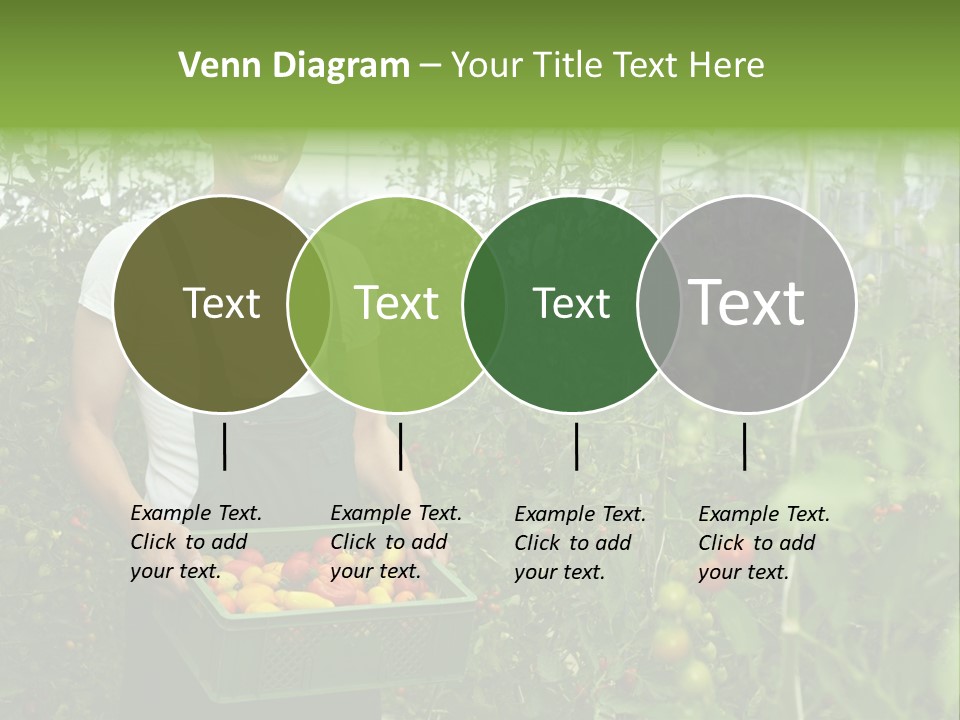 Man Sell Vegetable PowerPoint Template