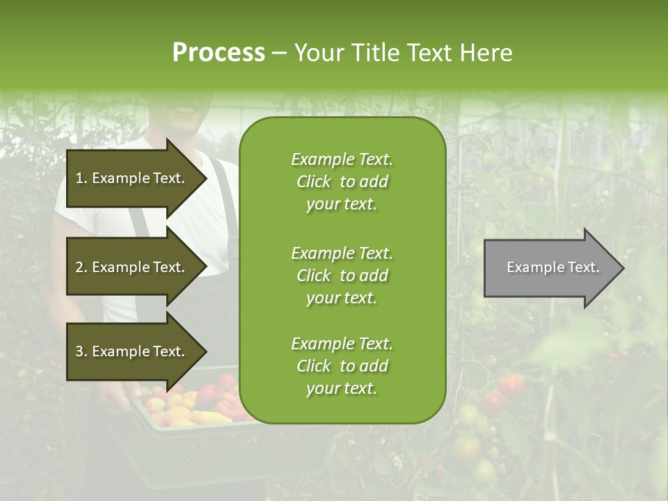 Man Sell Vegetable PowerPoint Template