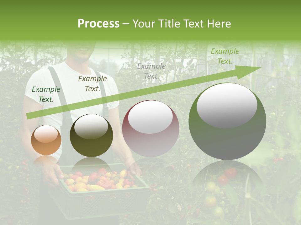 Man Sell Vegetable PowerPoint Template