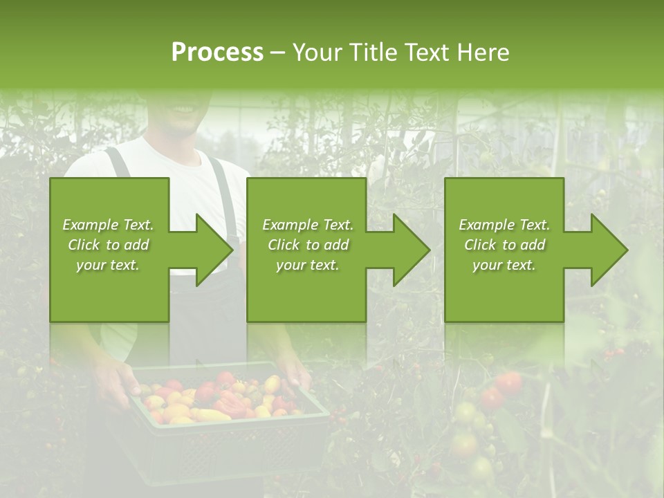Man Sell Vegetable PowerPoint Template