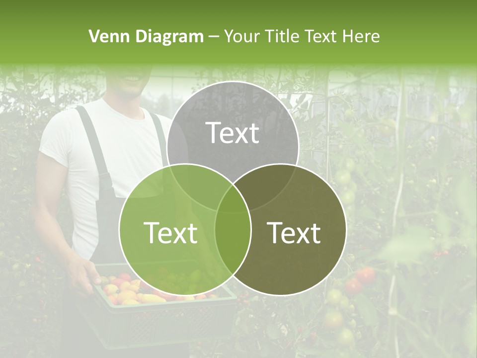 Man Sell Vegetable PowerPoint Template