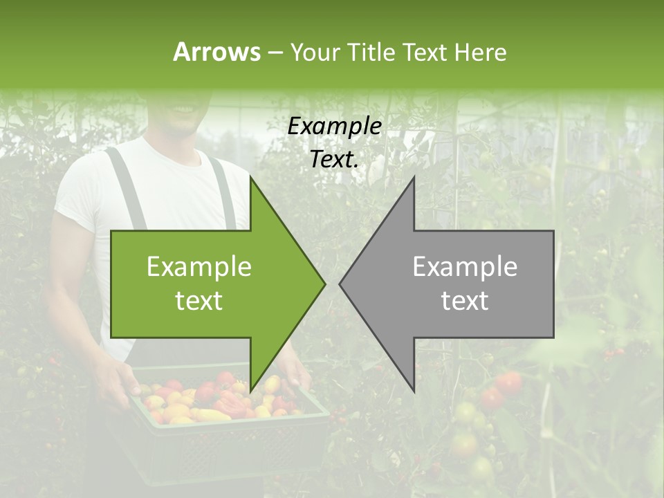 Man Sell Vegetable PowerPoint Template