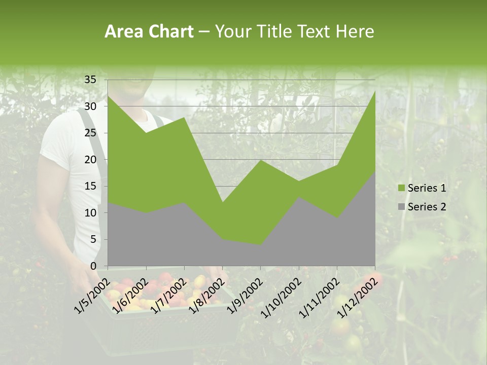 Man Sell Vegetable PowerPoint Template