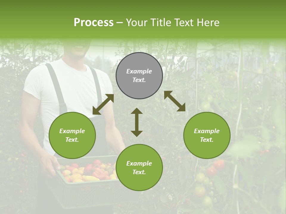 Man Sell Vegetable PowerPoint Template
