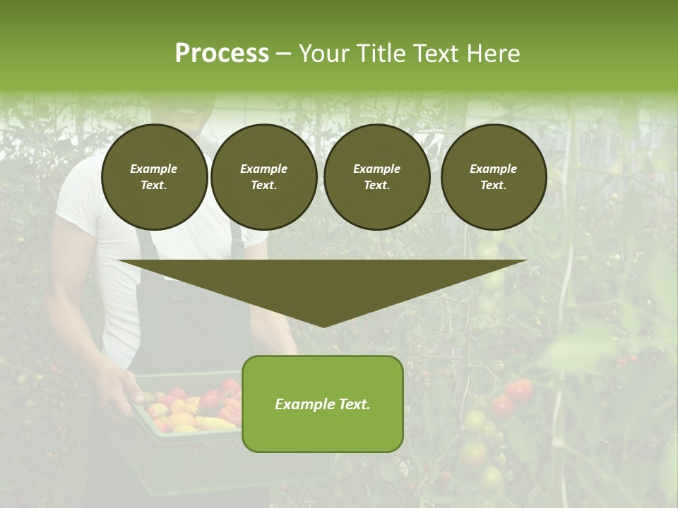 Man Sell Vegetable PowerPoint Template