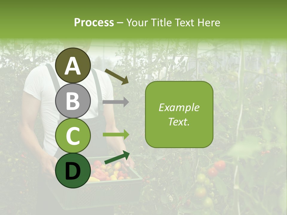 Man Sell Vegetable PowerPoint Template