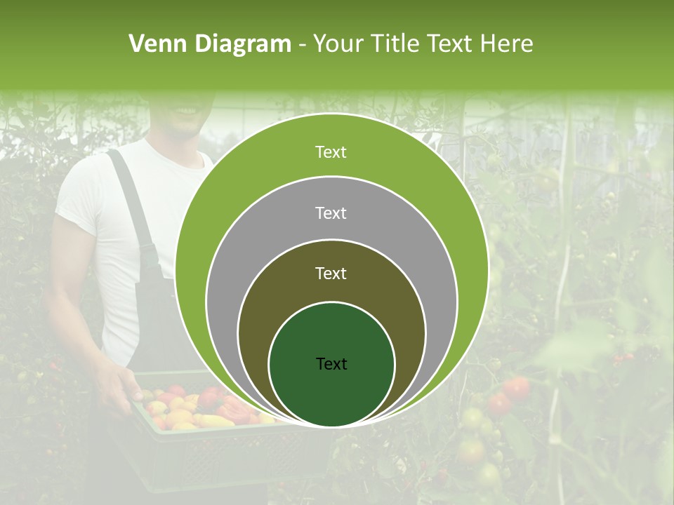 Man Sell Vegetable PowerPoint Template