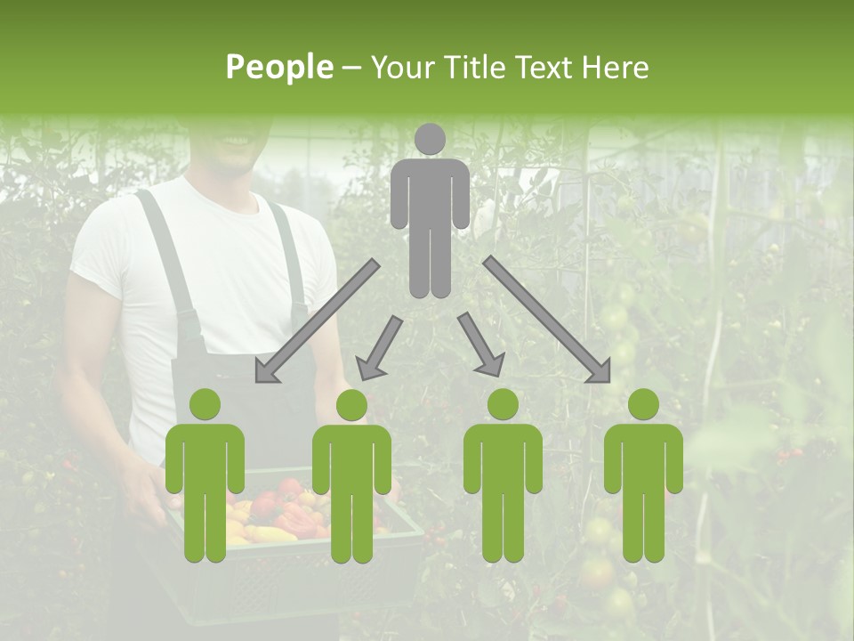 Man Sell Vegetable PowerPoint Template