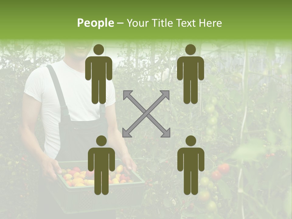 Man Sell Vegetable PowerPoint Template