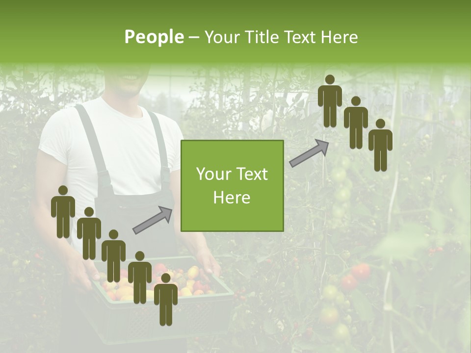 Man Sell Vegetable PowerPoint Template