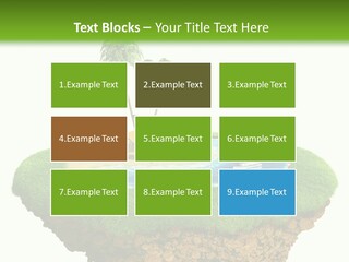 Detailed Summer Sun PowerPoint Template