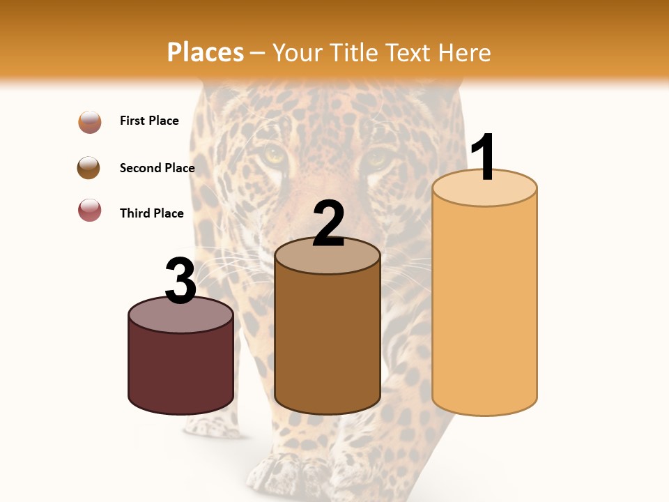 Front Animal Strength PowerPoint Template