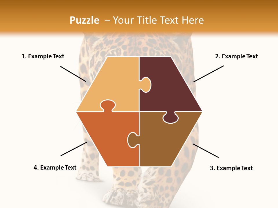 Front Animal Strength PowerPoint Template