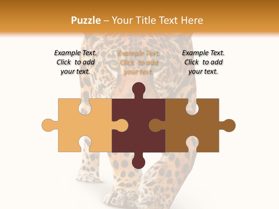 Front Animal Strength PowerPoint Template