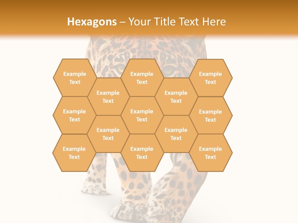 Front Animal Strength PowerPoint Template