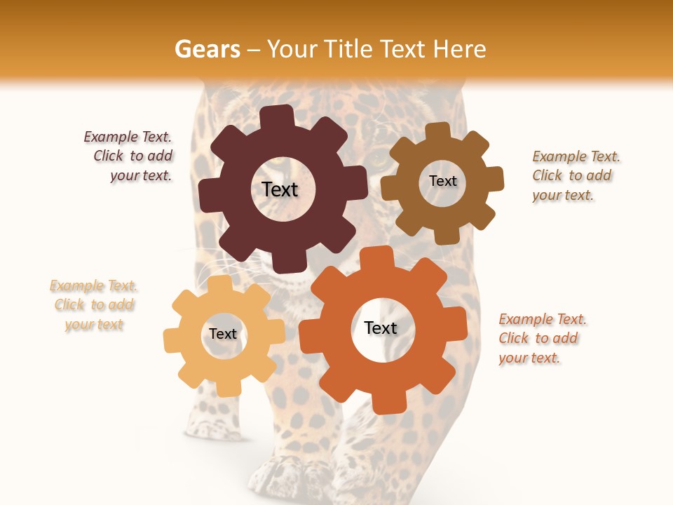 Front Animal Strength PowerPoint Template
