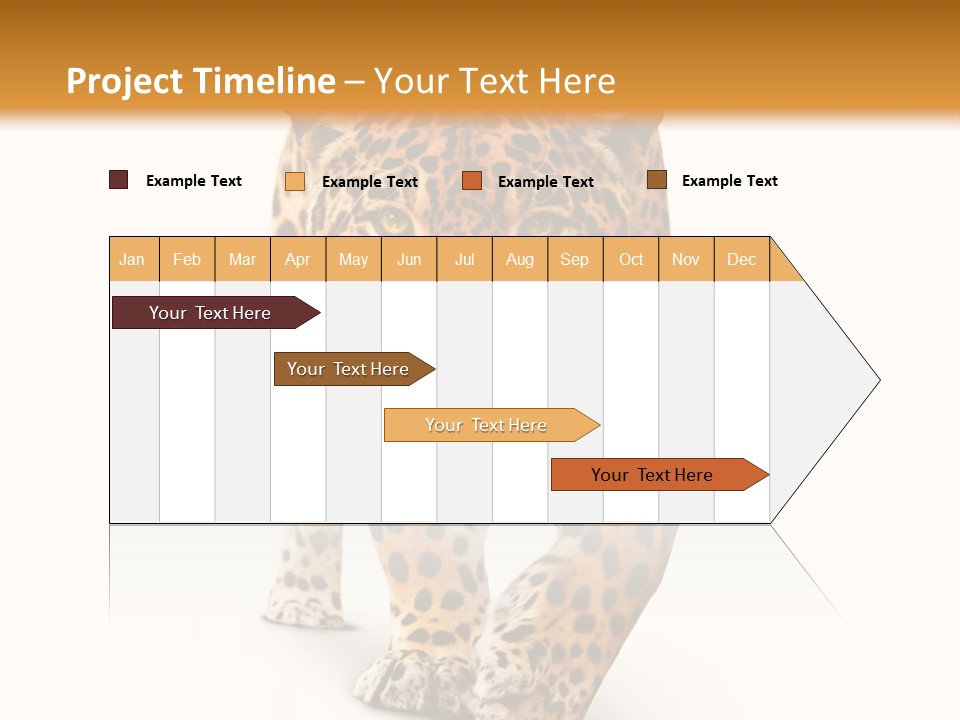 Front Animal Strength PowerPoint Template