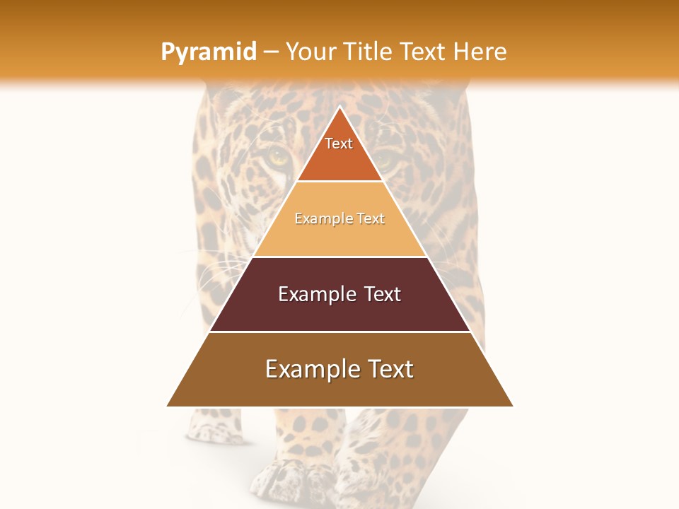 Front Animal Strength PowerPoint Template