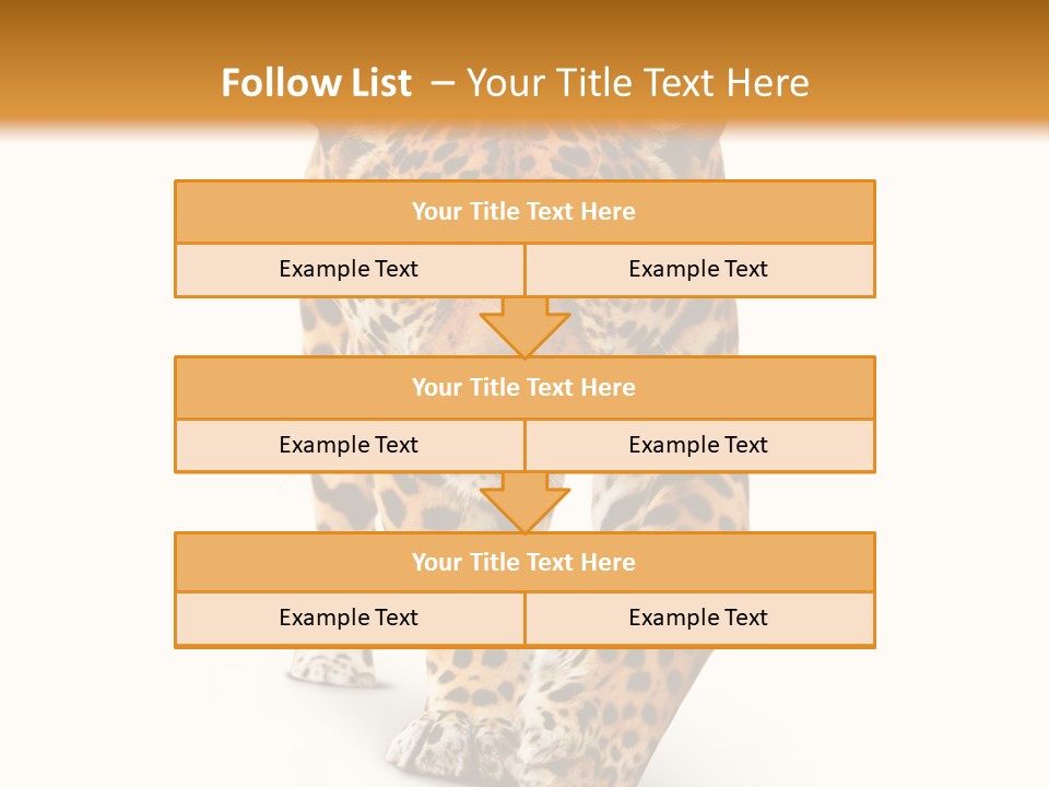 Front Animal Strength PowerPoint Template