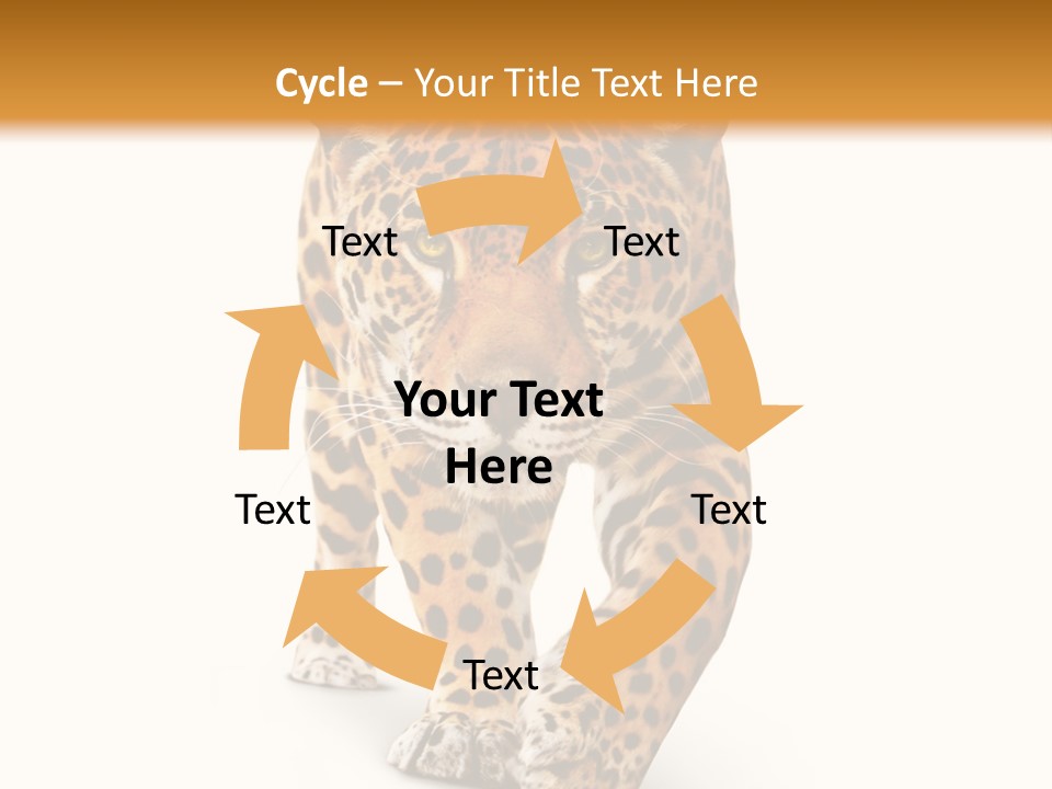 Front Animal Strength PowerPoint Template