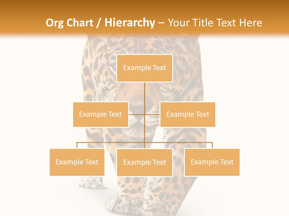 Front Animal Strength PowerPoint Template