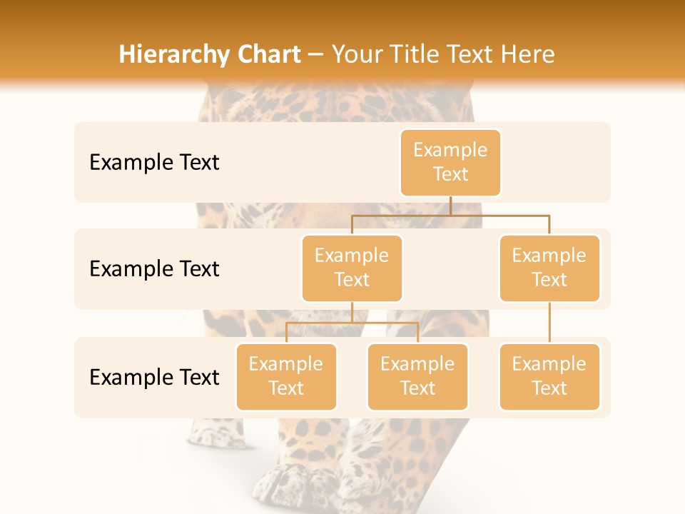 Front Animal Strength PowerPoint Template